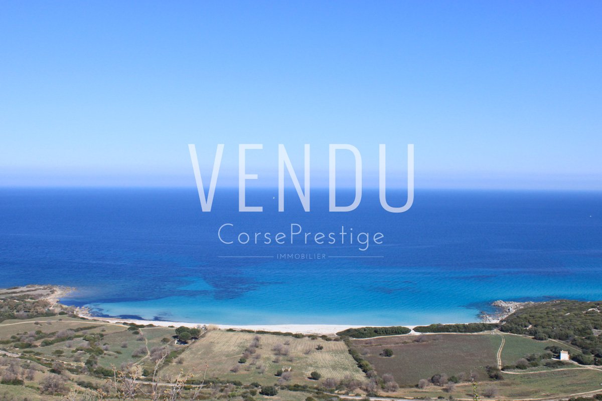 balagne-terrain-a-construire-n06-1 balagne-terrain-a-construire-n06-1