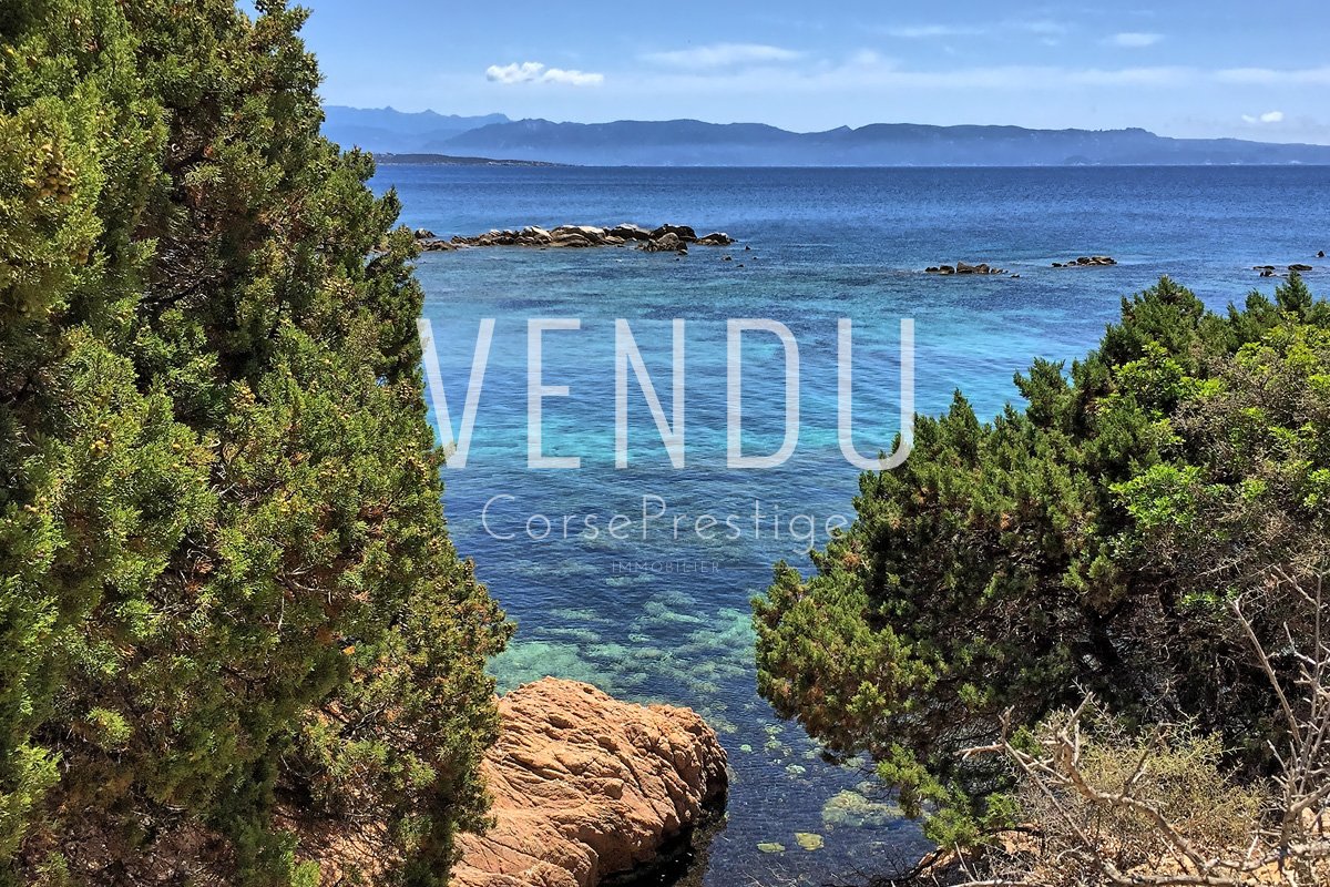 corse-propriete-pieds-dans-l-eau-n56 corse-propriete-pieds-dans-l-eau-n56