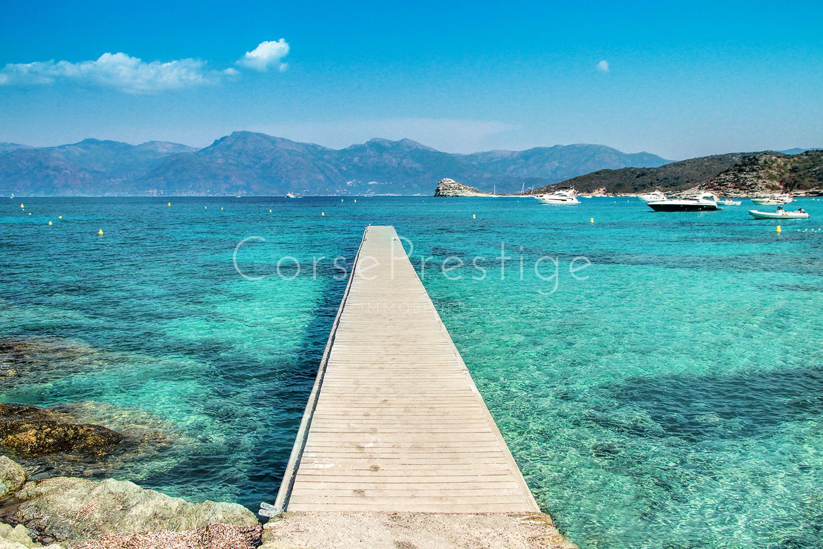 Estimating-villa-corsica