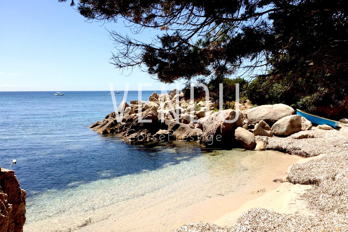 propriete-pieds-dans-l-eau-n62 propriete-pieds-dans-l-eau-n62